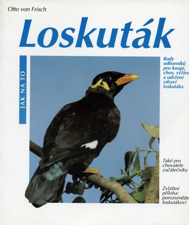 Frisch von Otto - Loskuták