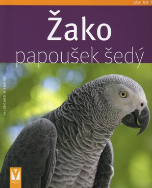 Niemann - Žako, papoušek šedý, Jak na to