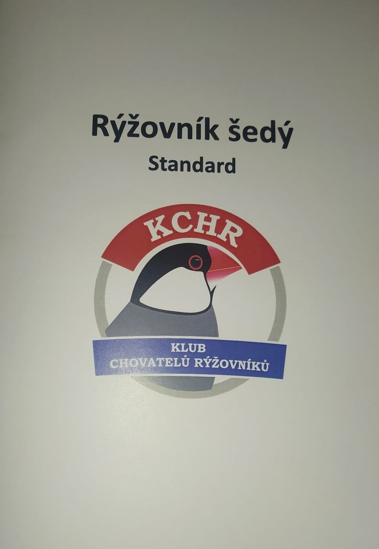 KCHR - Ryžovník šedý - Standard