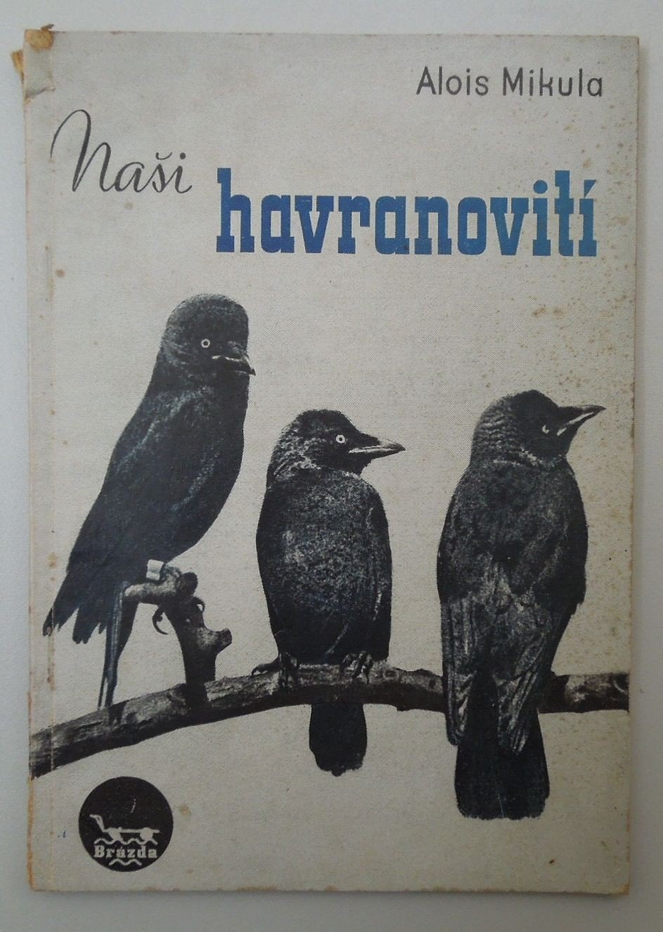 Mikula Alois - Naši havranovití