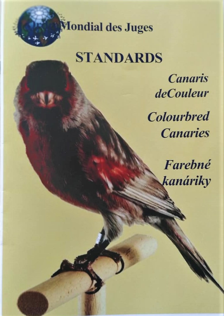 Farebné kanáriky - standard