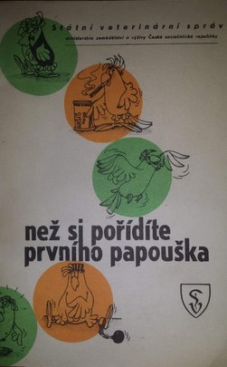 Než si pořídíte prvního papouška