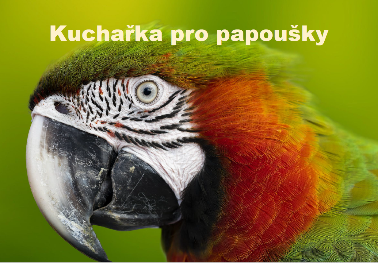 Leoš Pšenička - Kuchařka pro papoušky