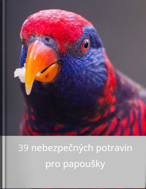 Leoš Pšenička - 39 nebezpečných potravin pro papoušky