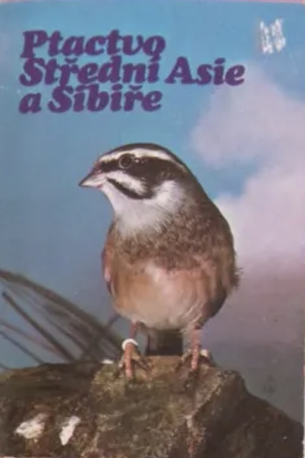 Ptactvo Střední Asie a Sibirě